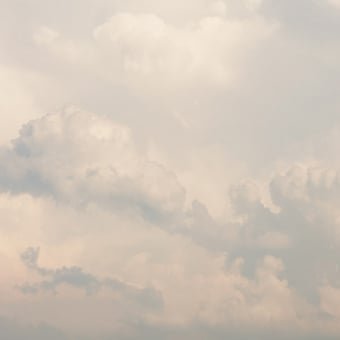 Papier peint panoramique Flemish Light 07.06 - 17:26