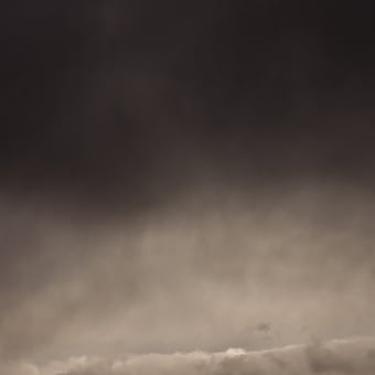 Papier peint panoramique Flemish Light 08.02 - 12:14