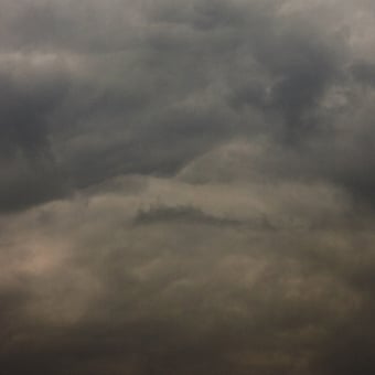 Papier peint panoramique Flemish Light 08.04 - 17:07