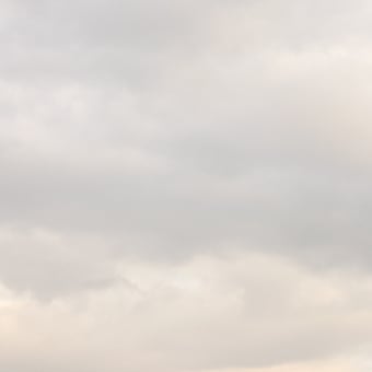 Papier peint panoramique Flemish Light 08.07 - 20:25