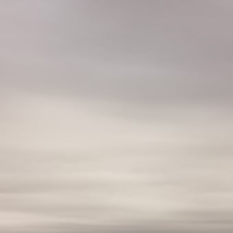 Papier peint panoramique Flemish Light 13.09 - 13:34