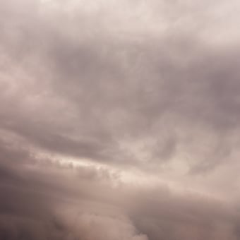 Papier peint panoramique Flemish Light 14.09 - 18:24