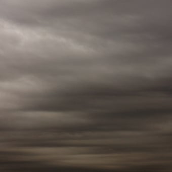 Papier peint panoramique Flemish Light 20.11 - 10:20