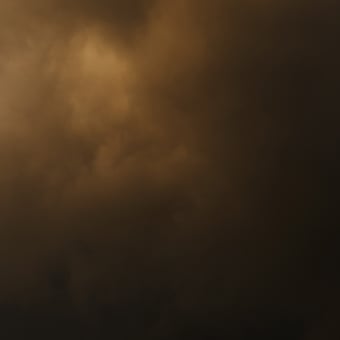 Papier peint panoramique Flemish Light 21.08 - 20:12