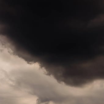 Papier peint panoramique Flemish Light 22.07 - 15:49