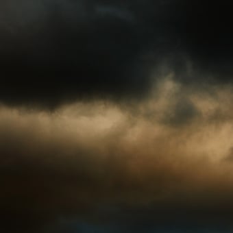 Papier peint panoramique Flemish Light 22.07 - 15:50