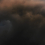 Panorama-Tapete Flemish Light 22.10 - 17:41 Papier français  Coquelicot FL 2210 1741