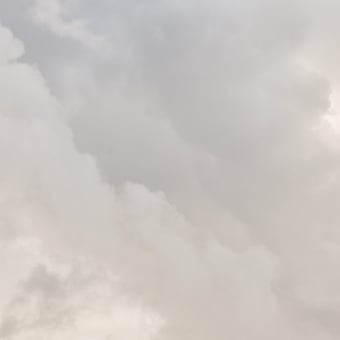 Papier peint panoramique Flemish Light 23.02 - 09:02