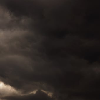 Papier peint panoramique Flemish Light 23.04 - 10:29