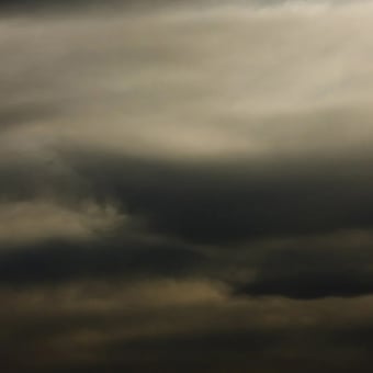 Papier peint panoramique Flemish Light 24.12 - 12:09