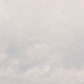 Flemish Light 26.06 - 17:18 panoramic wallpaper