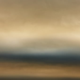 Flemish Light 29.01 - 10:45 panoramic wallpaper
