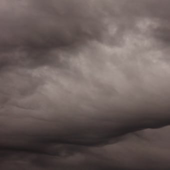 Flemish Light 29.12 - 10:39 panoramic wallpaper