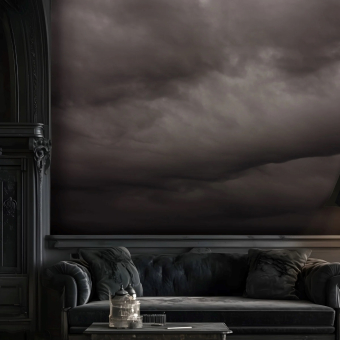 Flemish Light 29.12 - 10:39 panoramic wallpaper