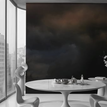 Flemish Light 22.10 - 17:41 panoramic wallpaper
