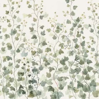 Ivy panoramic wallpaper