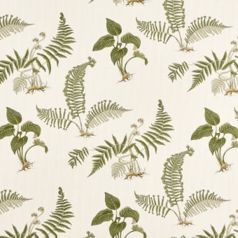 Hosta & Fern Outdoor Fabric