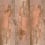 Beige Allure Panoramic Wallpaper Wall&decò Cornaline WDBA2501