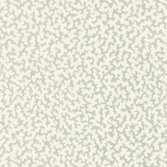 Junie wallpaper
