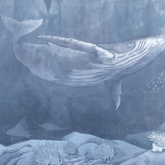 Carta da parati panoramica Pelagos