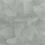 Wallpaper Glued Paper Casadeco Givré 89636226