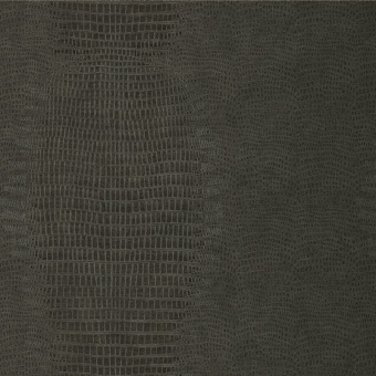Papier peint Skin