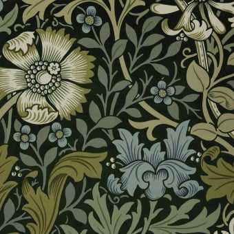Compton Magna Velvet