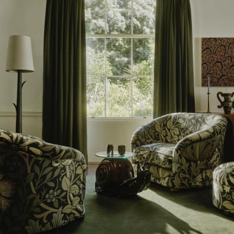 Velluto Compton Magna