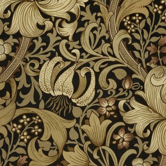 Golden Lily Magna Velvet