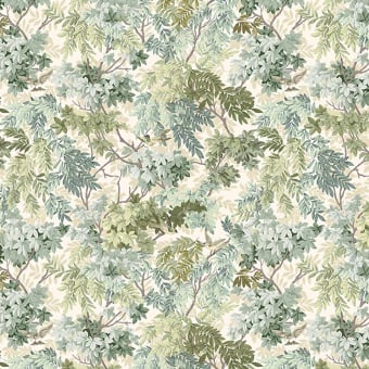 Carta da parati panoramica Uccelli