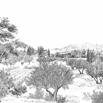 Papier peint panoramique Provence