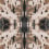 Damask Wallpaper No. 2 Papier français  Café DAM-N2-014-M1/M5-70