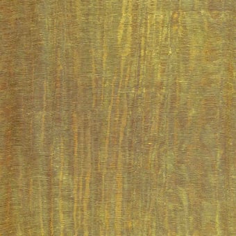 Festival Fabric