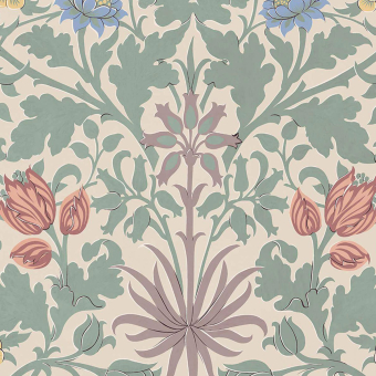 Hyacinth Wallpaper