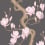 Magnolia Tree wallpaper Cole and Son Charcoal and Soft Pink 128/1001