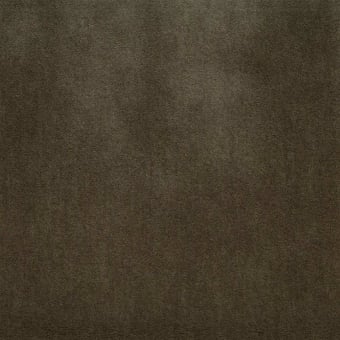 Cordillera Velvet