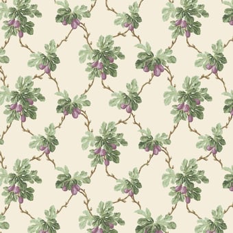 Fig Tree Wallpaper