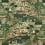 Velours Palace Tapestry GP & J Baker Royal Green BP11102.1.0