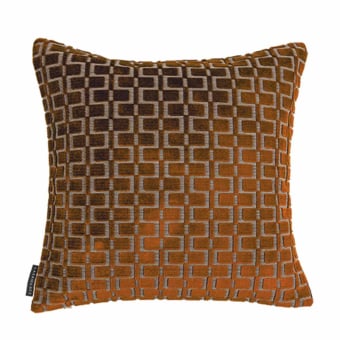 Coussin Analogie