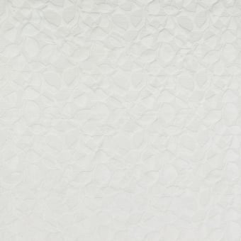 Terciopelo celandina