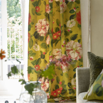 Terciopelo Camellia Terciopelo Camellia