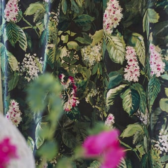 Velluto Pasqueflower Velluto Pasqueflower