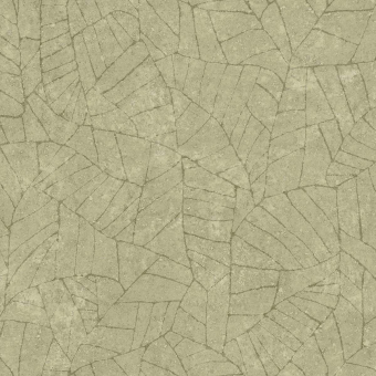 Fragment wallpaper