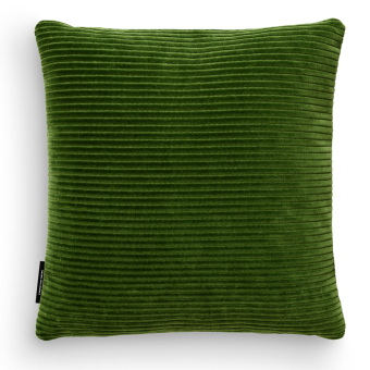 Phlox cushion