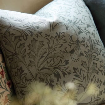 Stoff Chamomille Stoff Chamomille