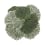 Botanica Rug Gan Rugs Green 450981