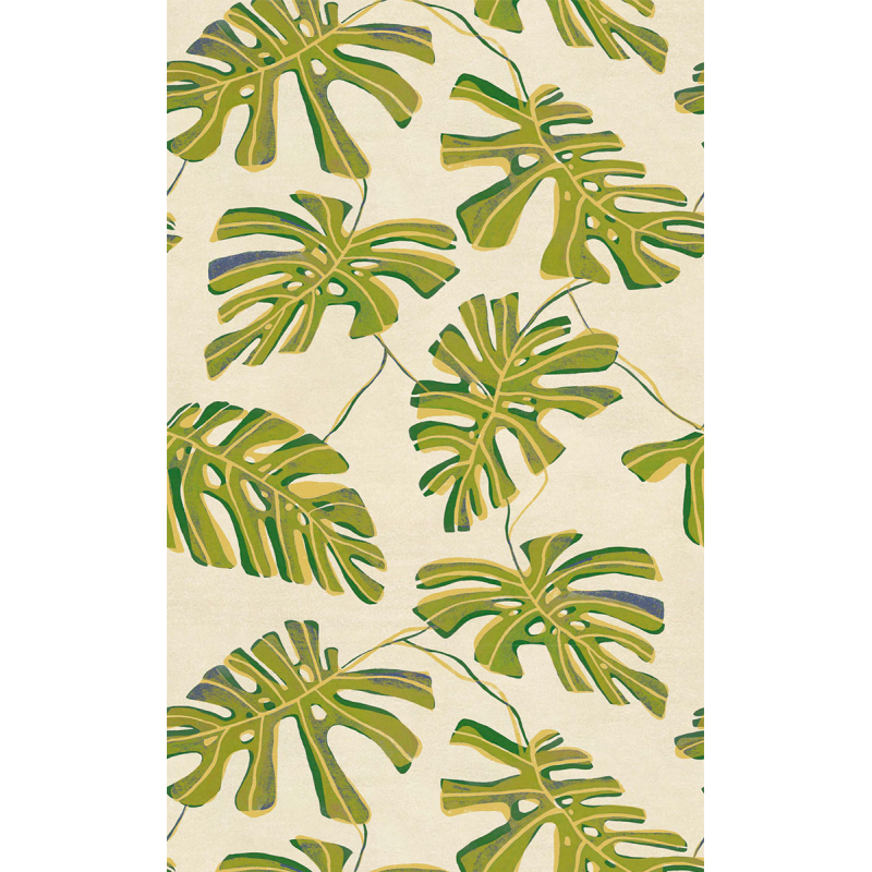 monstera uzgoj Monstera Deliciosa, large – Plante. Budapest main image 0