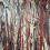 Mangrove panoramic wallpaper Arte Coffee Root 97742