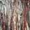 Panorama-Tapete Mangrove Arte Coffee Root 97742