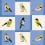 Like a Bird wallpaper Coordonné Blue C00137